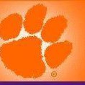 Meet your Posher, Brad